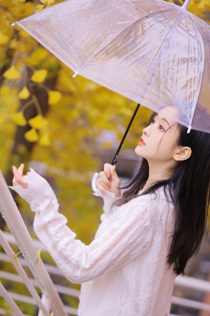 周晨曦 头像