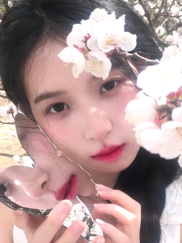 大明王朝1566